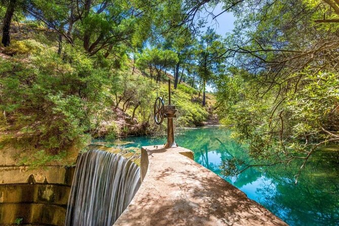 1 Day Rhodes Island Tour including Lindos and Medieval City - Tastings and Workshops: Olive Oil, Honey, Pottery, and the Sales Factor