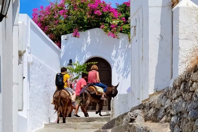 1 Day Rhodes Island Tour including Lindos and Medieval City - Getting Back on Time: Cruise-Day Logistics That Actually Matter