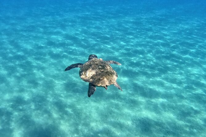 3 Hours Marathonissi Island Tour, Keri Caves and Turtles Spotting - Should you book this Marathonisi, Keri Caves, and turtle spotting tour?