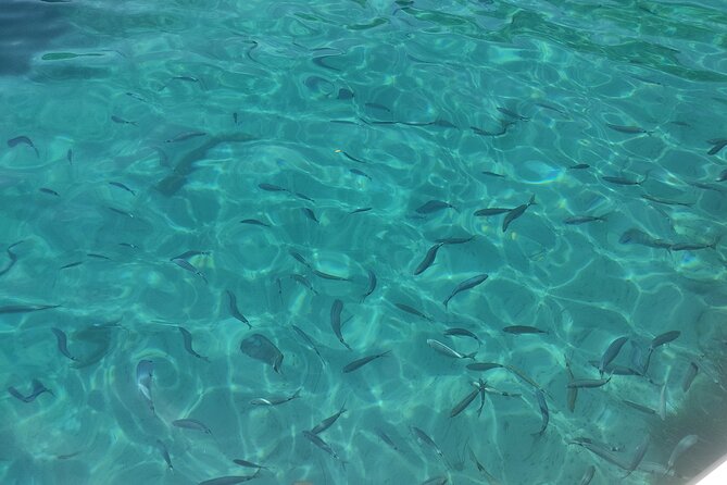 4-Hour Private Boat Tour in Corfu - Who this tour is best for