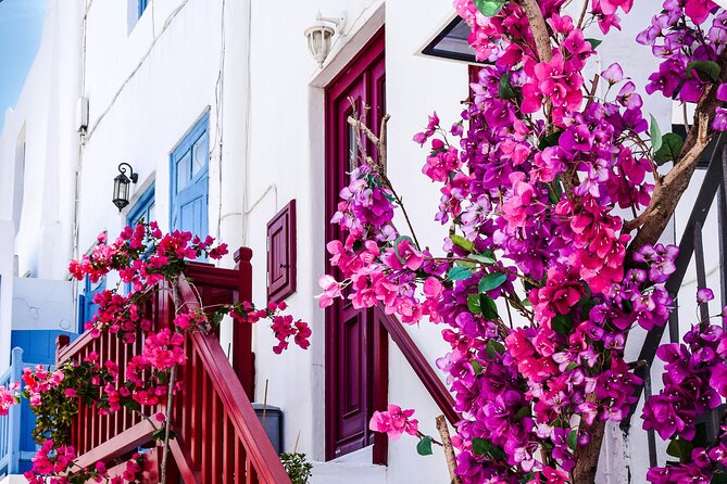 4Hours Mykonos Adventure Walk in Town & Minivan Countryside Tour - English-speaking guide experience: what you get beyond the route