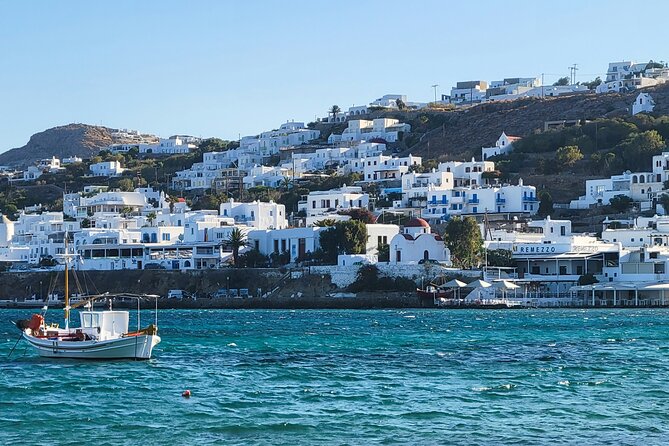 4Hours Mykonos Adventure Walk in Town & Minivan Countryside Tour - Price and value: is $54.22 a smart use of your Mykonos hours?