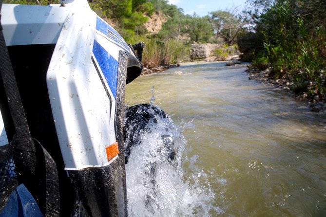 4x4 Buggy Adventures - Off-road Polaris Experience - The guided ride stops: donkeys, honey, and a roadside farm break