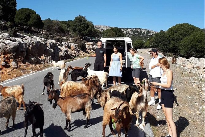 4x4 Safari Tour South Crete Agiofarago Matala - Meeting Point in Malia and How the 9.5 Hours Actually Flows