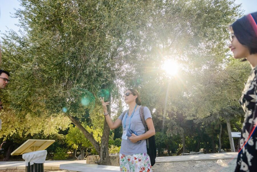 Acropolis: Acropolis and Parthenon Guided Walking Tour - From Dionysus Theatre to the Odeon, you get the Athens story in the right order