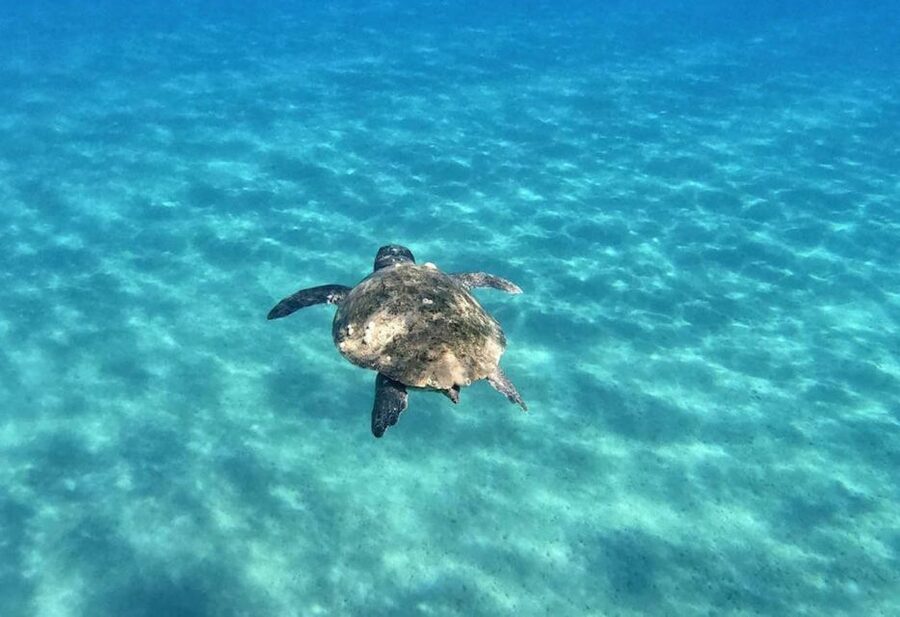 Agios Sostis: Marathonissi, Keri Caves, and Turtle Spotting - Keri Caves and the Swim Stops: Best Use of Your Water Time
