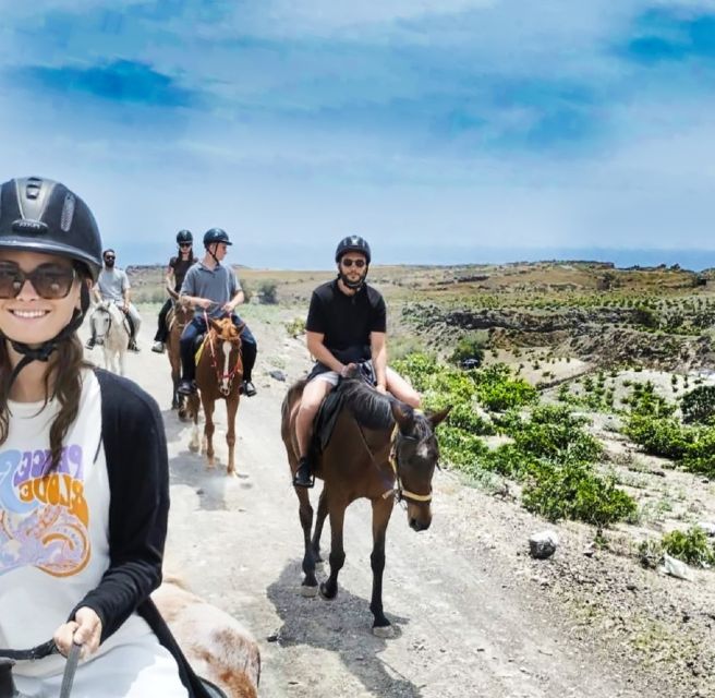 Akrotiri: Guided Horseback Riding Day Trip to a Beach - The vineyard and trail route: views that feel like you earned them