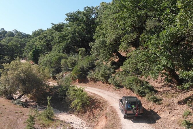 All Day 4x4 Adventure / Lefkada / With Brunch - Pickup at 8:30 and that first oak-forest viewpoint