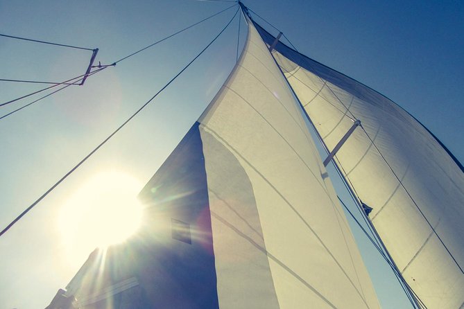 All inclusive day sailing tour from Naxos to the small cyclades - Snorkeling in clear water, and what to expect under the surface