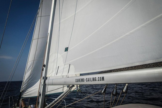 All inclusive day sailing tour from Naxos to the small cyclades - Lunch is part of the experience, not an afterthought