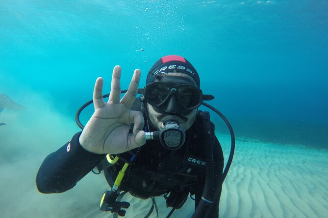 Anavyssos Athens Riviera: Beginners' Guided Try Scuba Diving - What you might see under the Aegean Sea