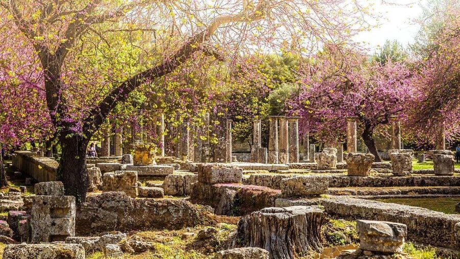 Ancient Olympia full day private tour from Athens - A long day, with the payoff at Ancient Olympia