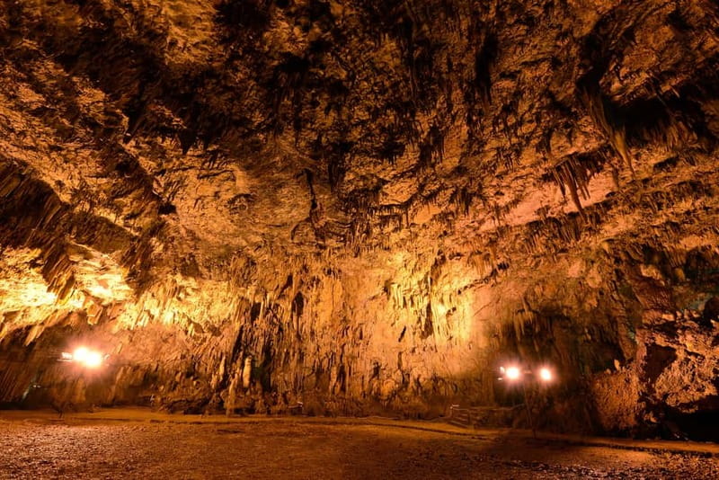 Argostoli: Shore Excursion to Caves with Local Wine Tasting - Why this Argostoli shore trip is a smart cruise-day plan