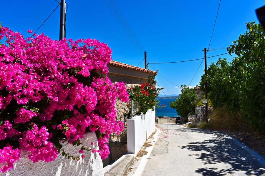 Athens: Agistri, Metopi & Aegina Cruise with Meals & Drinks - The Yacht: Angelique vs Martika, and What You’ll Notice Onboard