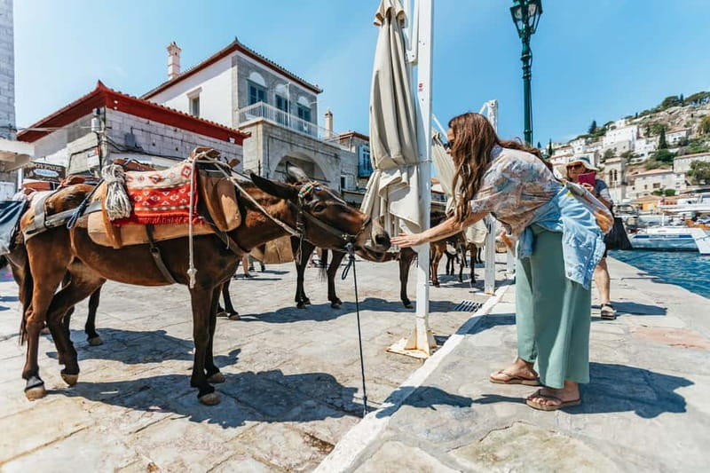 Athens Day Cruise – Since 1965 | Visit Hydra, Poros & Aegina - Athens to Hydra, Poros, and Aegina without the stress