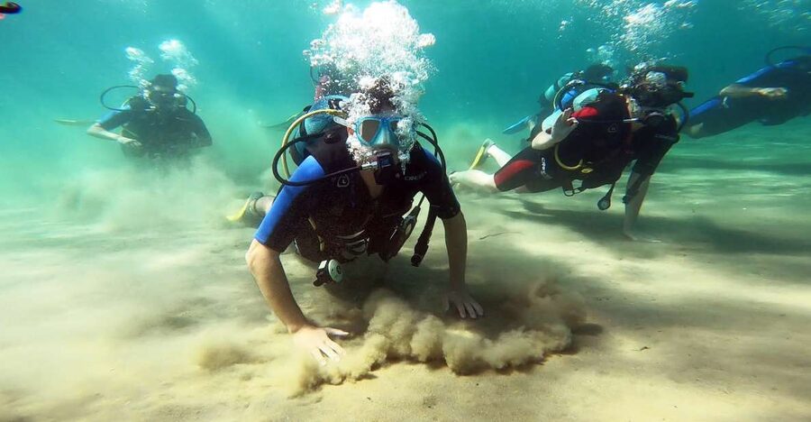 Athens East Coast: Discover Scuba Diving in Nea Makri - Key Things I’d Focus On Before You Go