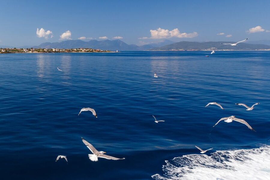 Athens: Guided Day Trip to Aegina Island with Swimming - Paleochora and Saint Nektarios Monastery: Wall Paintings and Mountain Views