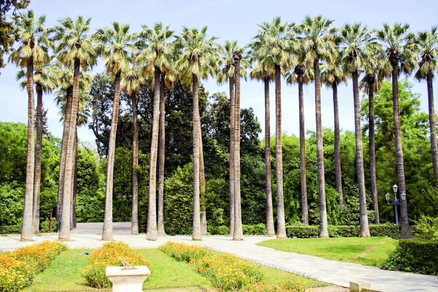 Athens Instagram Tour: The Most Scenic Spots - Key Things I’d Mark on Your Athens Map