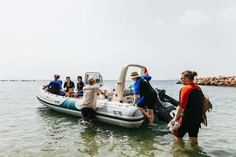 Athens: Marathon Cape and Bay of Schinias Snorkeling Trip - Marine Life You Can Actually Expect to See