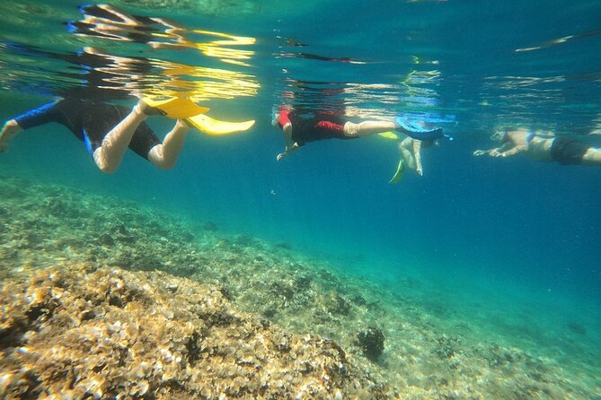 Athens, Nea Makri: Guided Small Group Snorkeling Boat Excursion - Final Call: Should You Book This Nea Makri Snorkeling Boat Trip?
