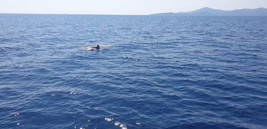 Athens: Riviera Catamaran Tour with Fresh Meal and Drinks - Gear and Comfort: What Helps You Have a Smooth Day at Sea