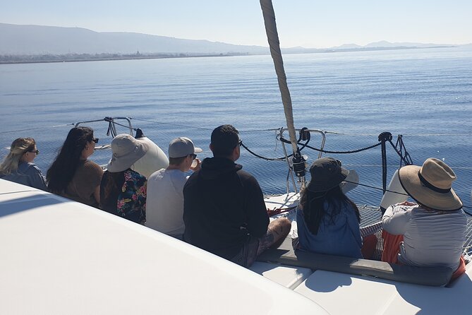 Athens Riviera Catamaran tour with fresh Meal Drinks and Swimming - Athens Riviera by sea: why this feels like the smartest half-day in Athens