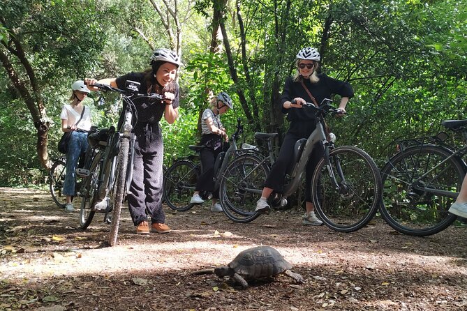 Athens Small Group Electric Bike Tour - Panathenaic Stadium and the first Olympics angle