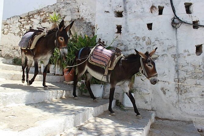 Best Rhodes Tour with Wine Tasting Experience from Cruise Port - Rhodes Medieval City: UNESCO streets, layered religious history, and shopping time