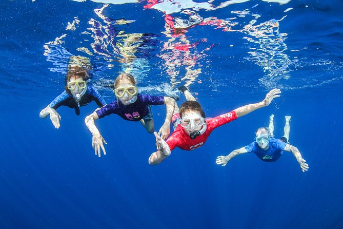 Boat Trip in Crete with Guided Snorkeling and Free Pick up! - Key moments I’d plan around
