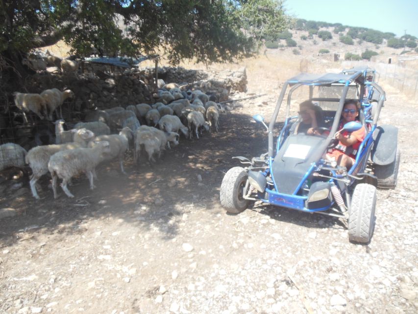 Buggy safari Crete (Transfer and lunch) analipsi- hersonisos - Potamos Beach swimming and the final private beach stop