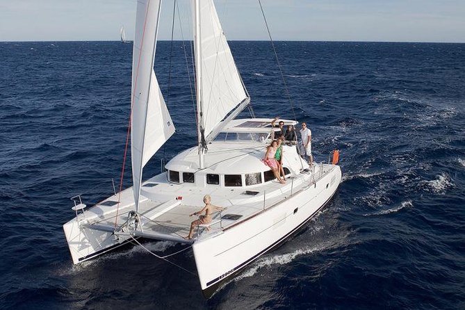 Catamaran Day & Sunset Cruises with meals Drinks and transportation - From Hotel Minivan to the New Port: Logistics That Stay Out of Your Way