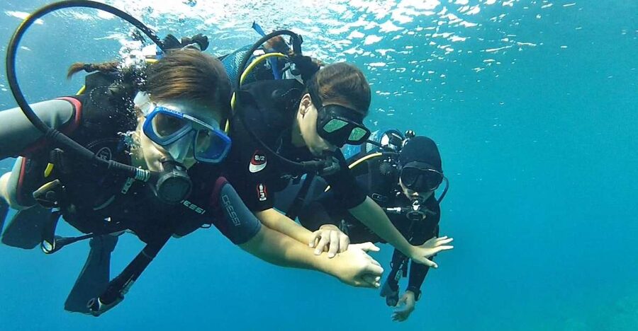 Chalkidiki: Scuba Diving for Beginners in Kassandra - From Kassandra hotel pickup to a 20-minute safety briefing