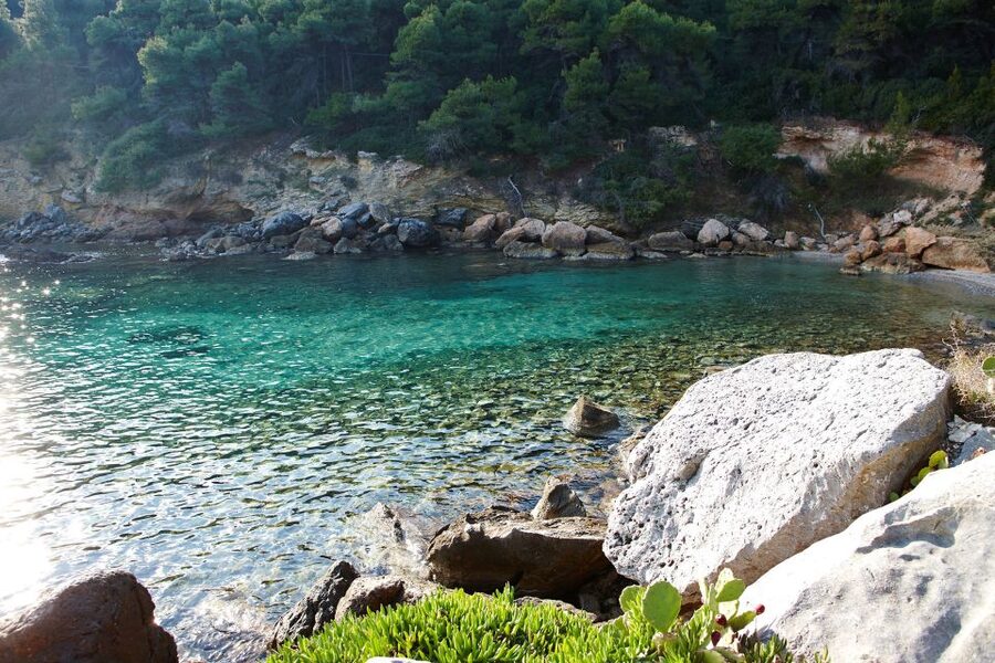 Chalkidiki: Scuba Diving for Beginners in Kassandra - The guided underwater session: beginner site selection and what you will see