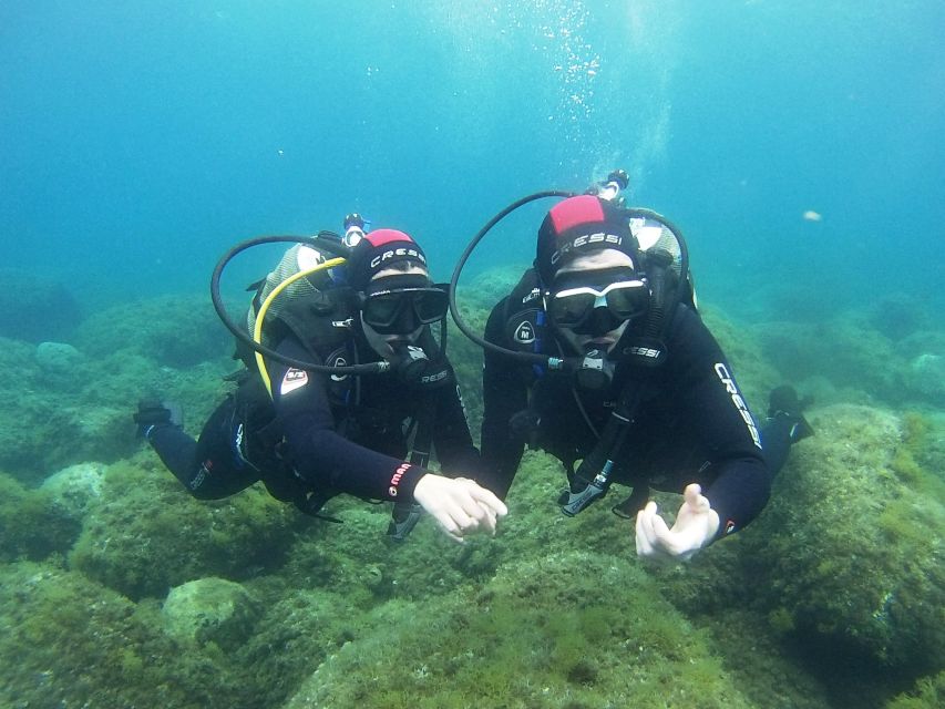 Chalkidiki: Scuba Diving for Beginners in Kassandra - PADI eLearning and registration: the prep you do before you get in water