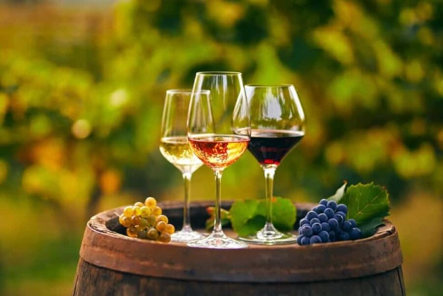 Chania Area: Food Tasting Tour with Winery Visit & Swim Stop - Ano Vouves Ancient Olive Tree: A Natural Monument Stop