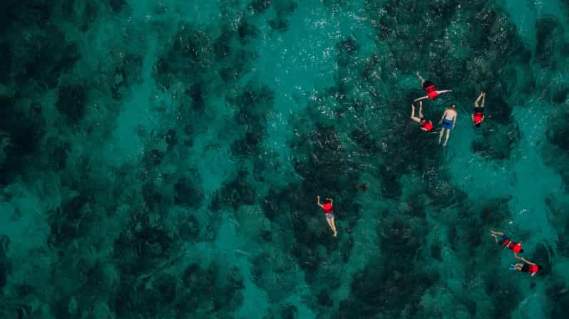 Chania: Boat Trip with Guided Snorkeling Tour - Getting from Chania to the water, without the hassle