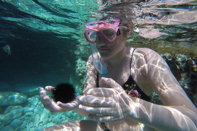 Chania: Boat Trip with Guided Snorkeling Tour & SUP - SUP happens when the sea allows it