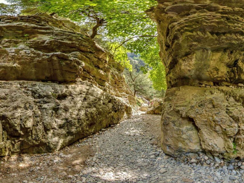 Chania: Imbros Gorge and Libyan Sea Day Tour - Imbros Gorge and Libyan Sea tour, key points