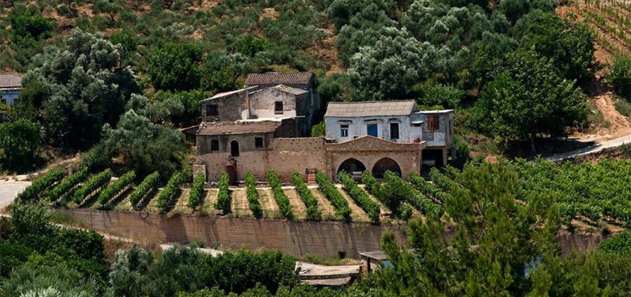 Chania: Milia Mountain Tour w/Lunch Olive Oil/Wine Tastings - Milia Mountain Retreat: 17th-century stone homes, no electricity, and a real lunch