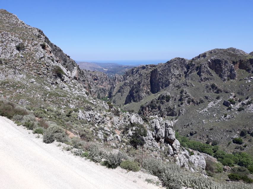 Chania: Milia Mountain Tour w/Lunch Olive Oil/Wine Tastings - Value check: is $176 per person worth it?
