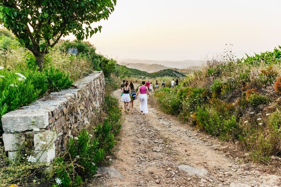 Chania: Off-Road Tour at Sunset - The Guide and Driver Factor: English Commentary and a Real Example