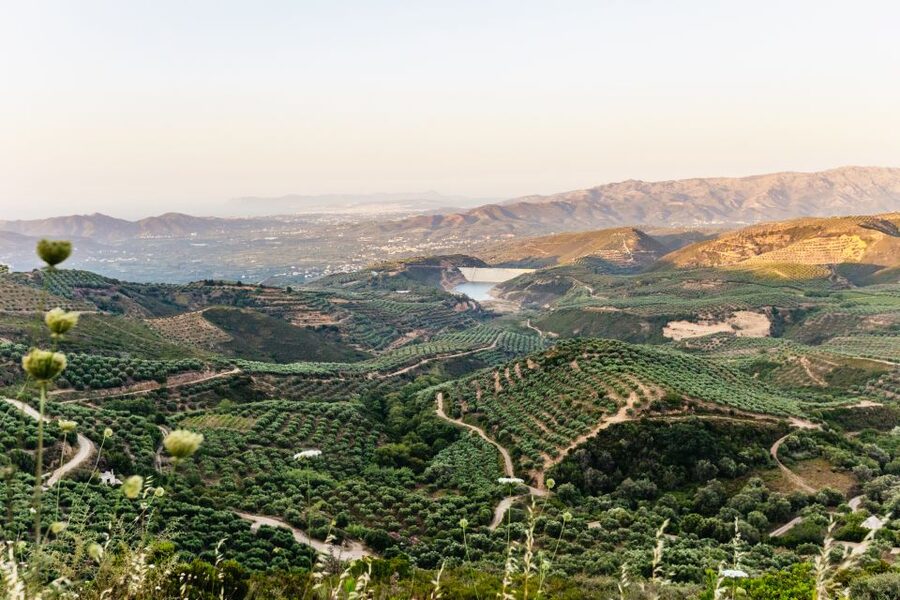 Chania: Off-Road Tour at Sunset - Price and Value: Is $93 Worth It for a Premium Sunset Safari?