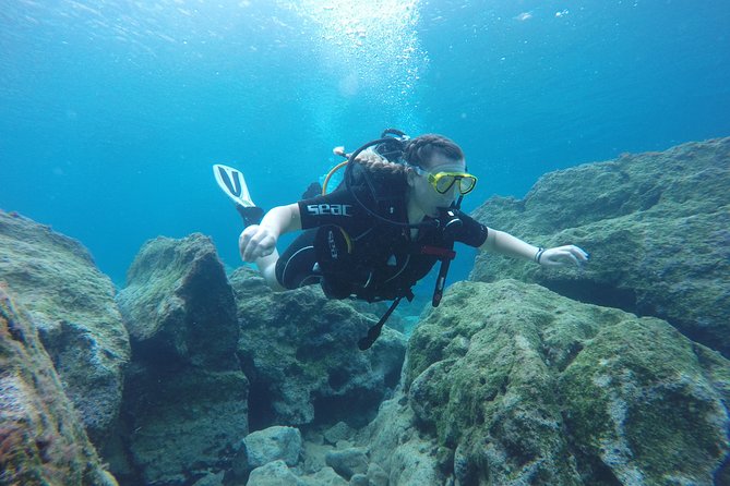 Chania: Scuba Diving for Beginners - Price and Value Check for $112 Per Person