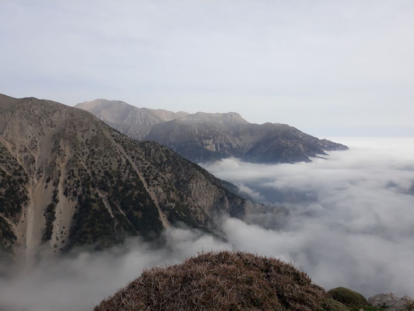 Chania: White Mountains Safari Tour with Lunch and Tastings - Key Points You Should Know Before Going