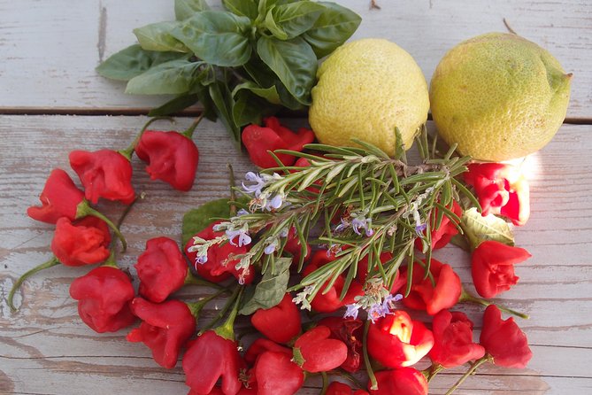 Cooking class, traditional Greek cuisine, on a Greek island - Dinner in the shaded courtyard: the social part that improves the food