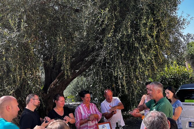 Cooking Classes and olive oil tasting.The real taste of Greece! - Who this works best for in Corfu
