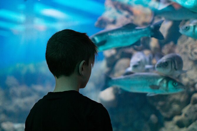 Corfu Aquarium Ticket with Tour Included - Key things to know before you go