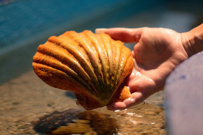 Corfu Aquarium Ticket with Tour Included - Morning or afternoon: choosing a slot that fits your day