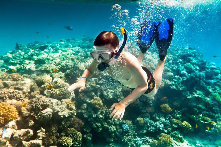 Corfu: Day Cruise to the Blue Lagoon with Visit to Syvota - Who this cruise suits best, and who should think twice