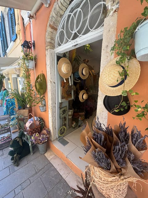 Corfu: Dog Sightseeing Tour - A one-hour Corfu Old Town walk that feels humane, not gimmicky